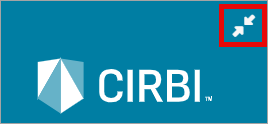 CIRBI - Arrows.png